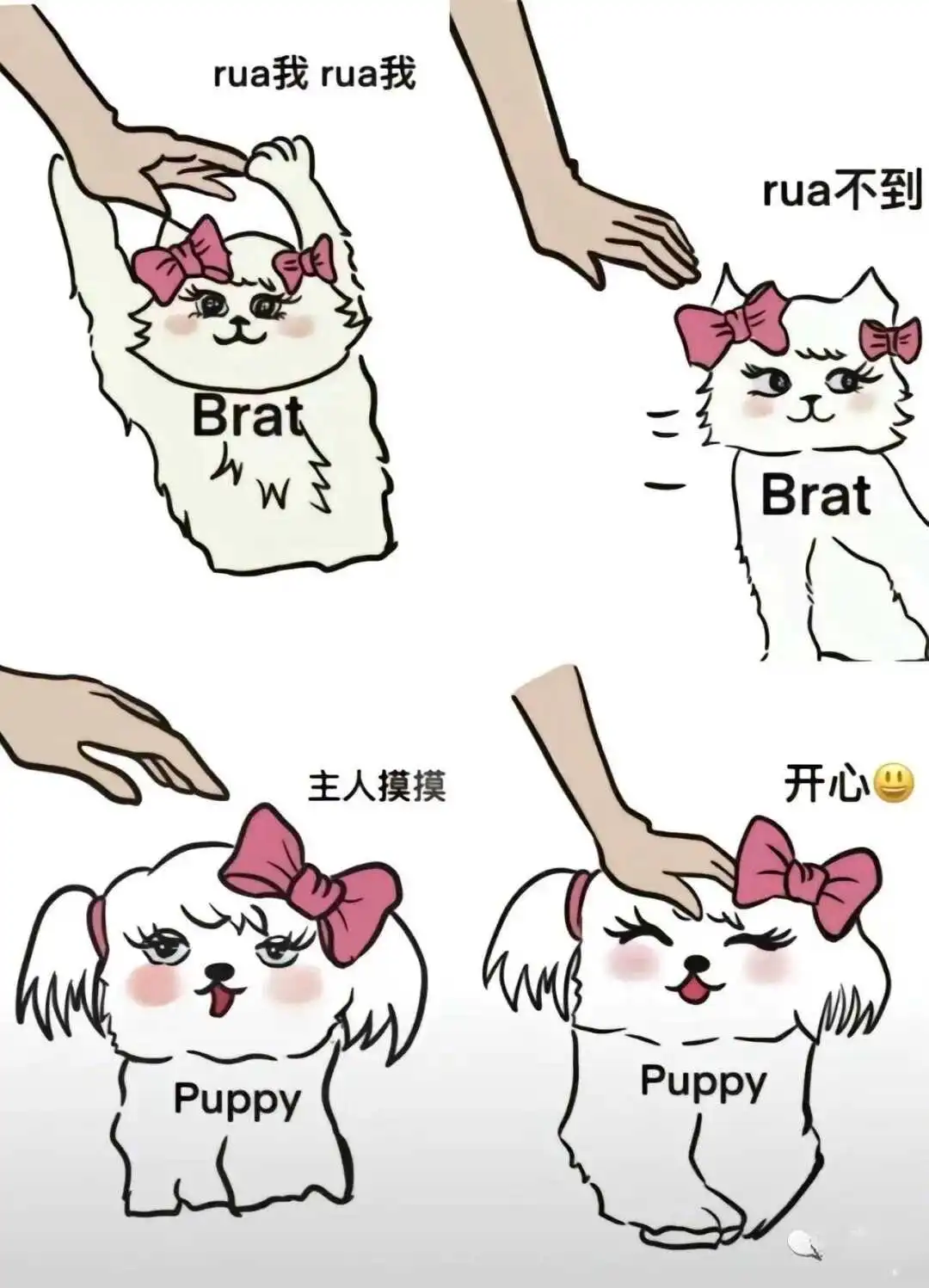 【西檬之家】M倾向入门:字母圈新人如何理解并建立健康的Dom/Sub关系