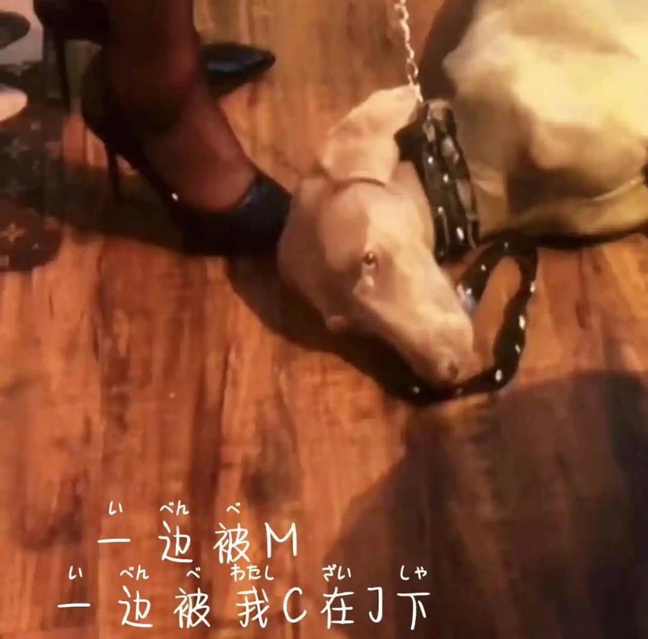 西檬之家-女王是什么角色？字母圈新人入圈必读指南
