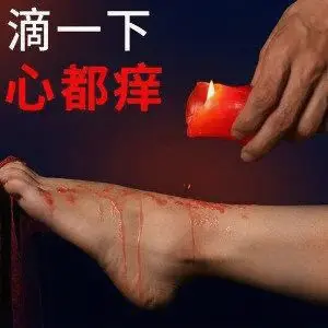 【西檬之家】Sub是什么？字母圈新人必修的角色认知课