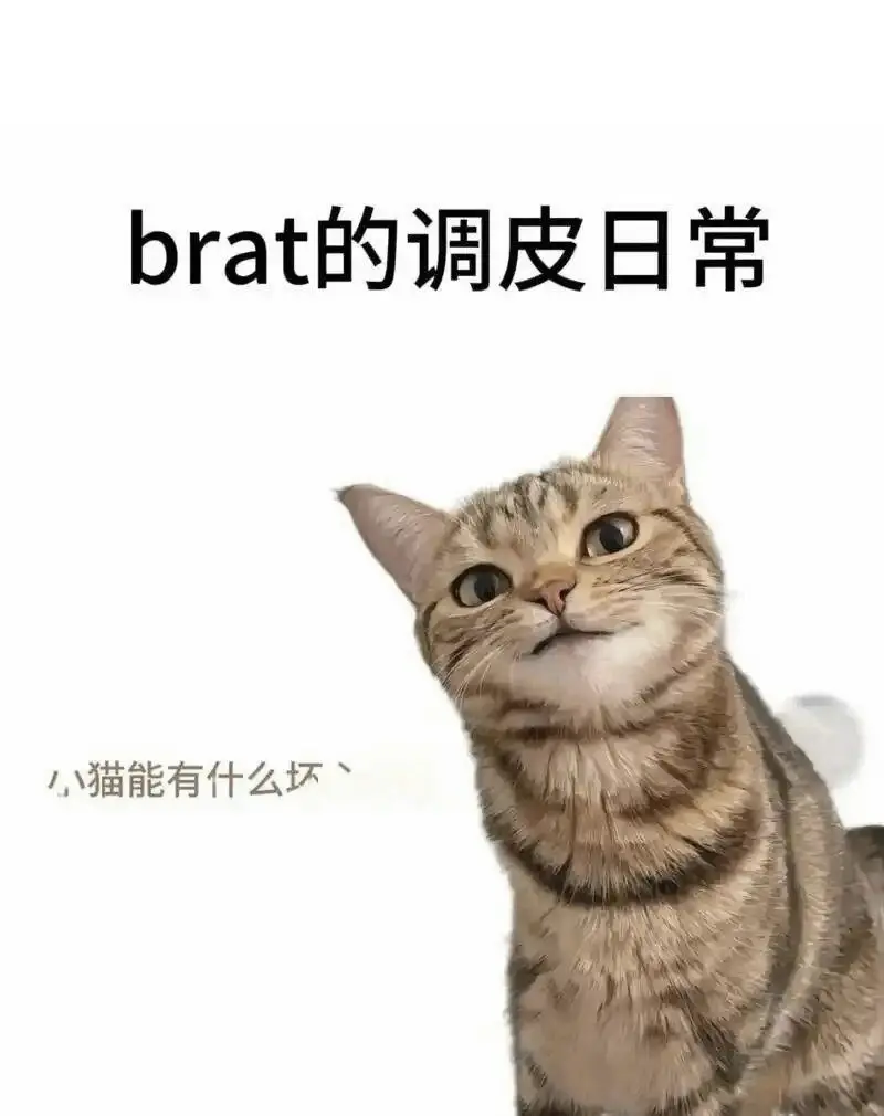 【西檬之家】BDSM入门：Sp实践与SSC安全原则指南