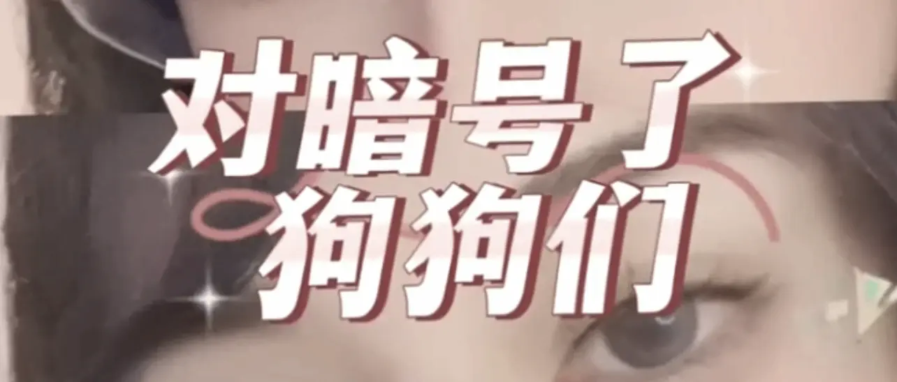 【西檬之家】字母圈新人必看：S属性解析与入圈指南