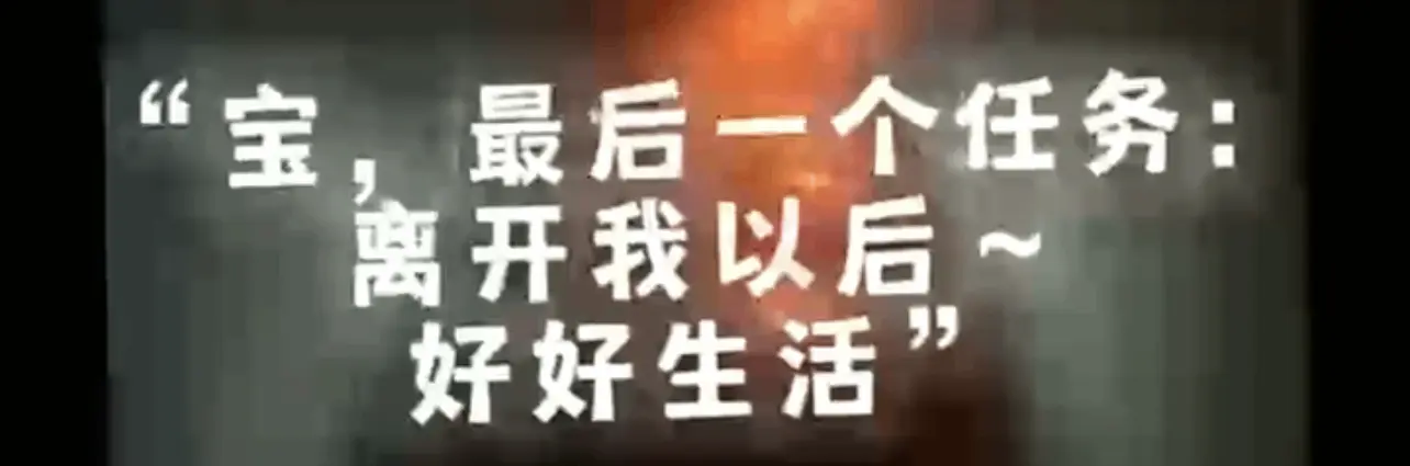 【西檬之家】K8是什么？揭秘字母圈中的猫系角色