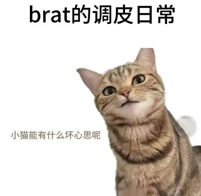 西檬之家-k8猫系角色解析与新人入圈指南