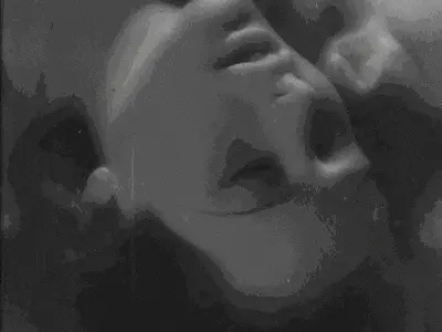 【西檬之家】K9是什么意思？字母圈新人必须了解的犬系角色扮演