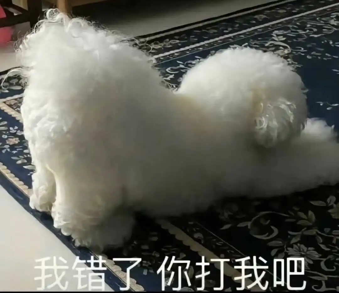【西檬之家】女王是什么意思？BDSM圈中的Dom角色解析