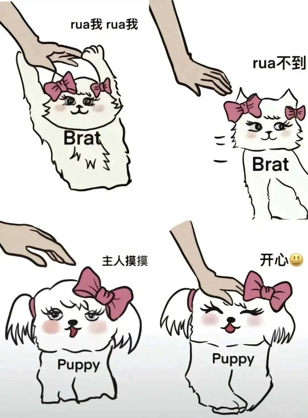 西檬之家-字母圈新人入圈指南：从SSC原则到核心术语解析