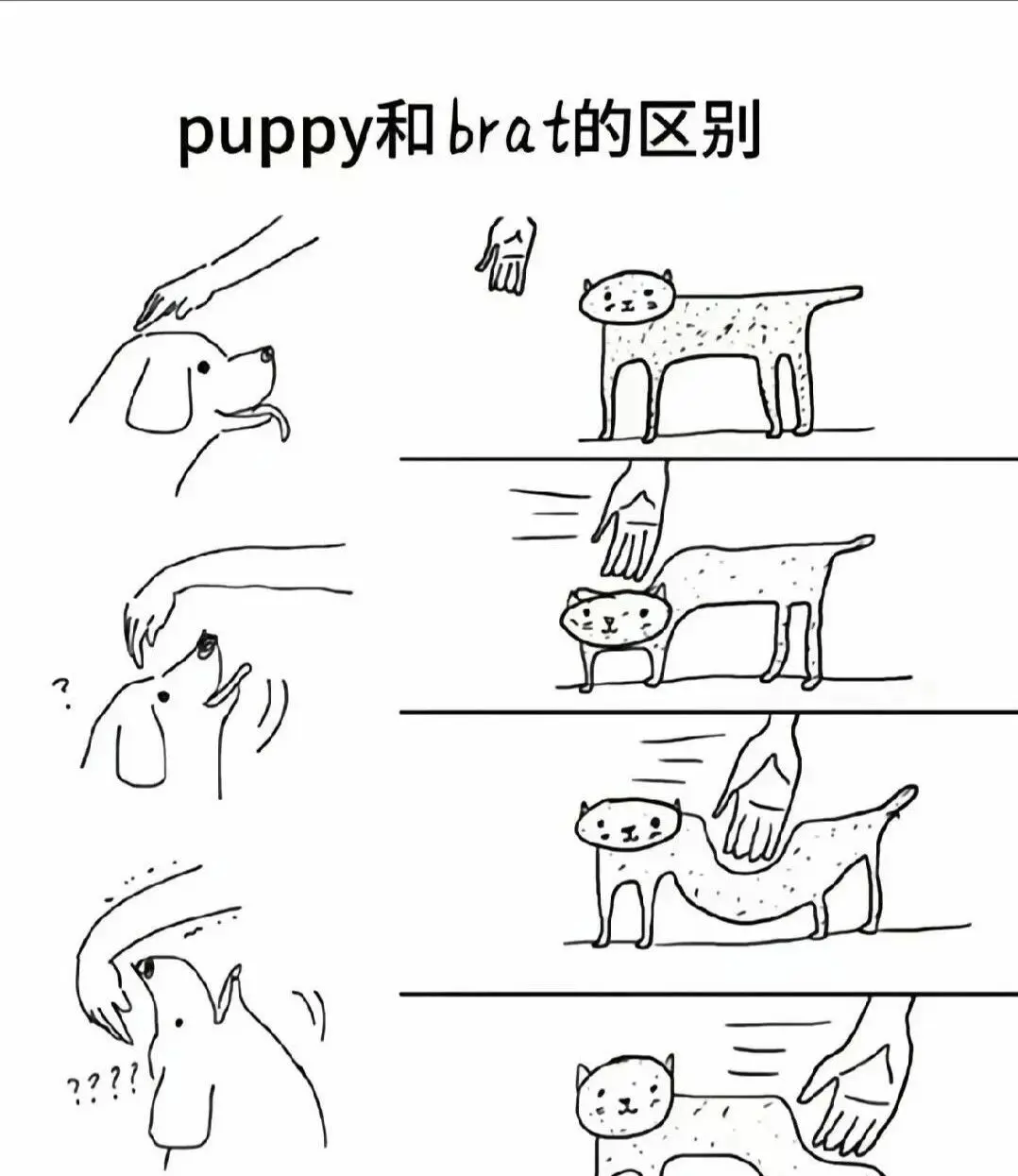 【西檬之家】BDSM安全指南：新人如何理解SSC原则与核心术语